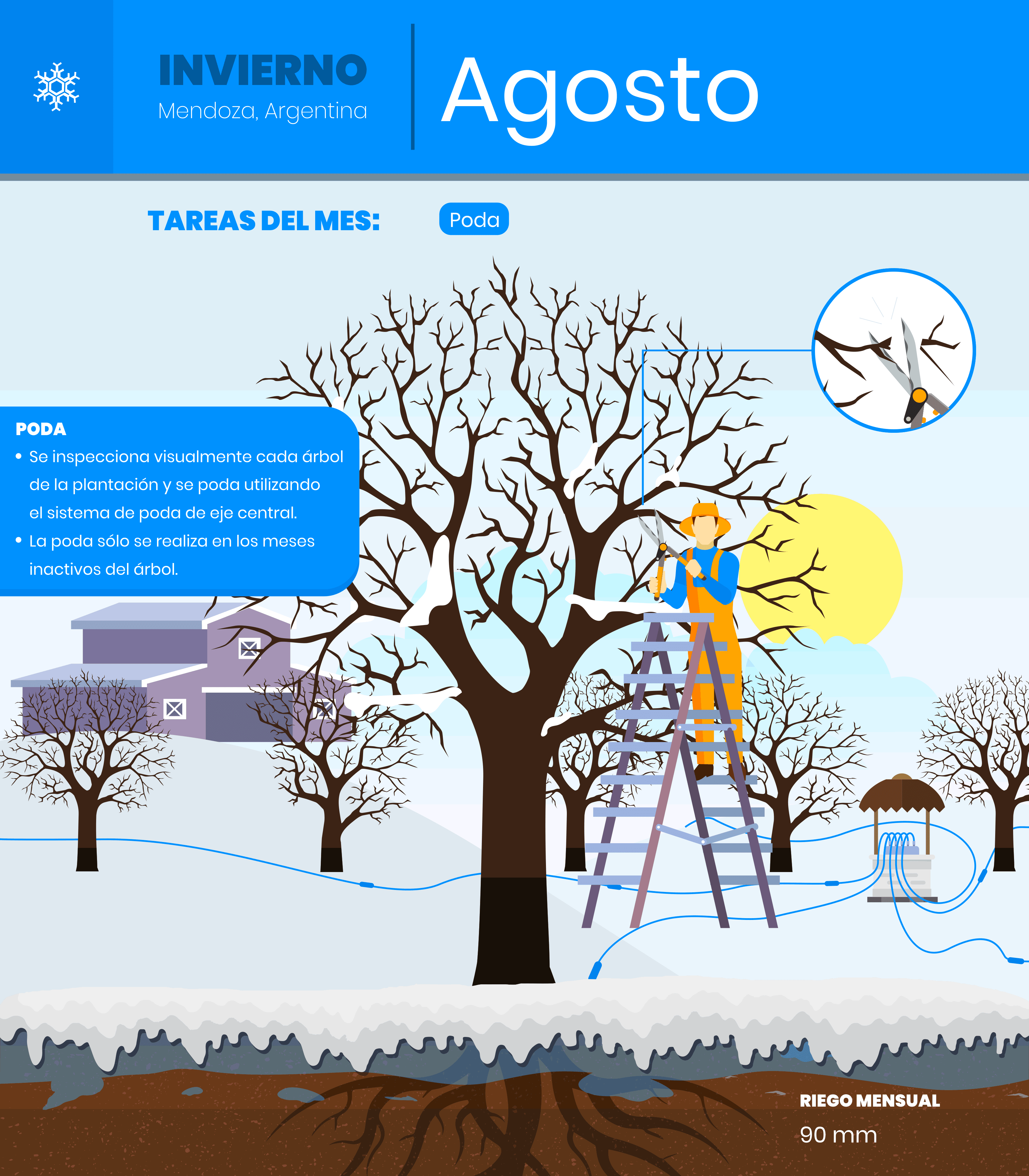 Agosto-1