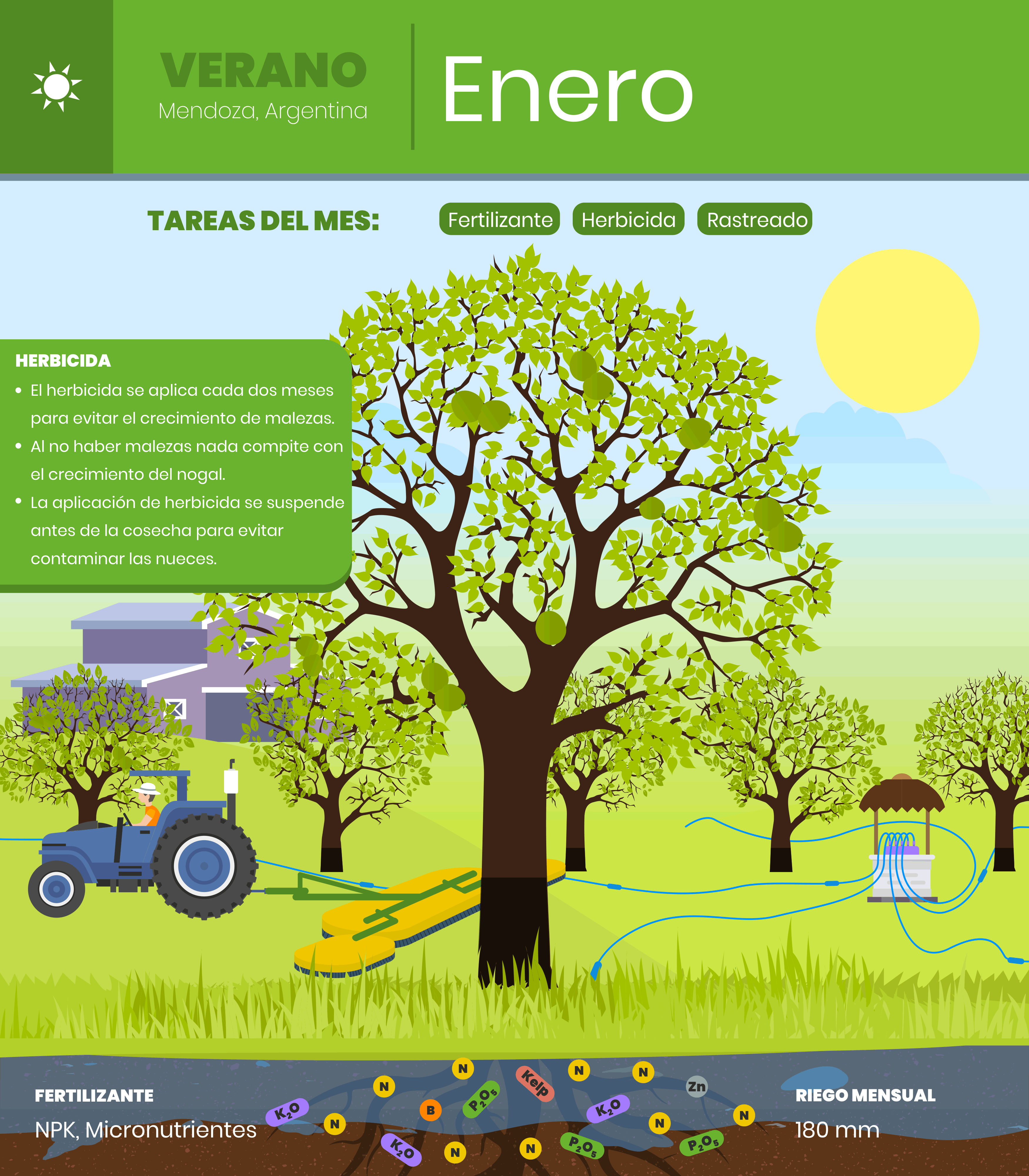 Enero-1