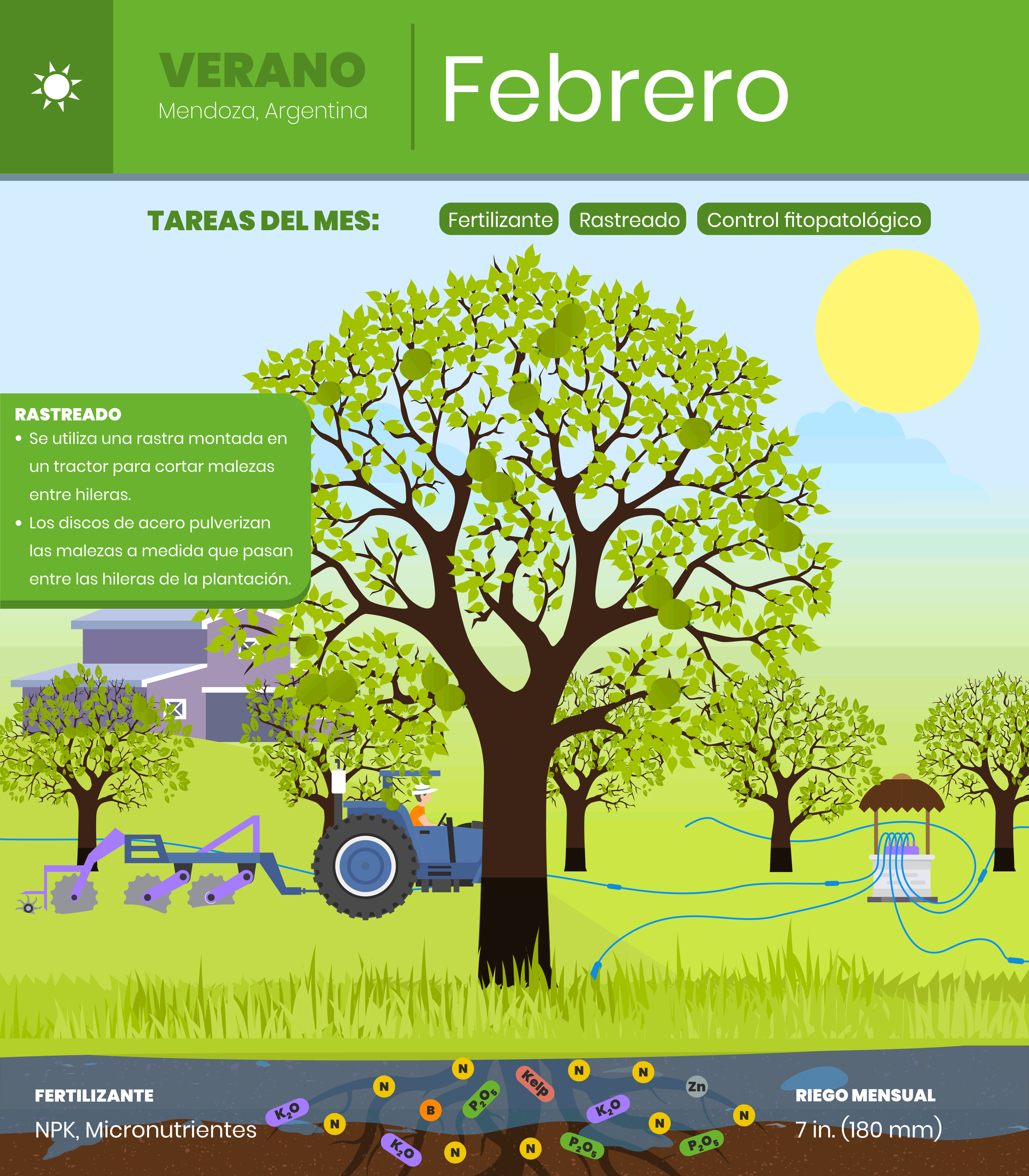 Febrero-1