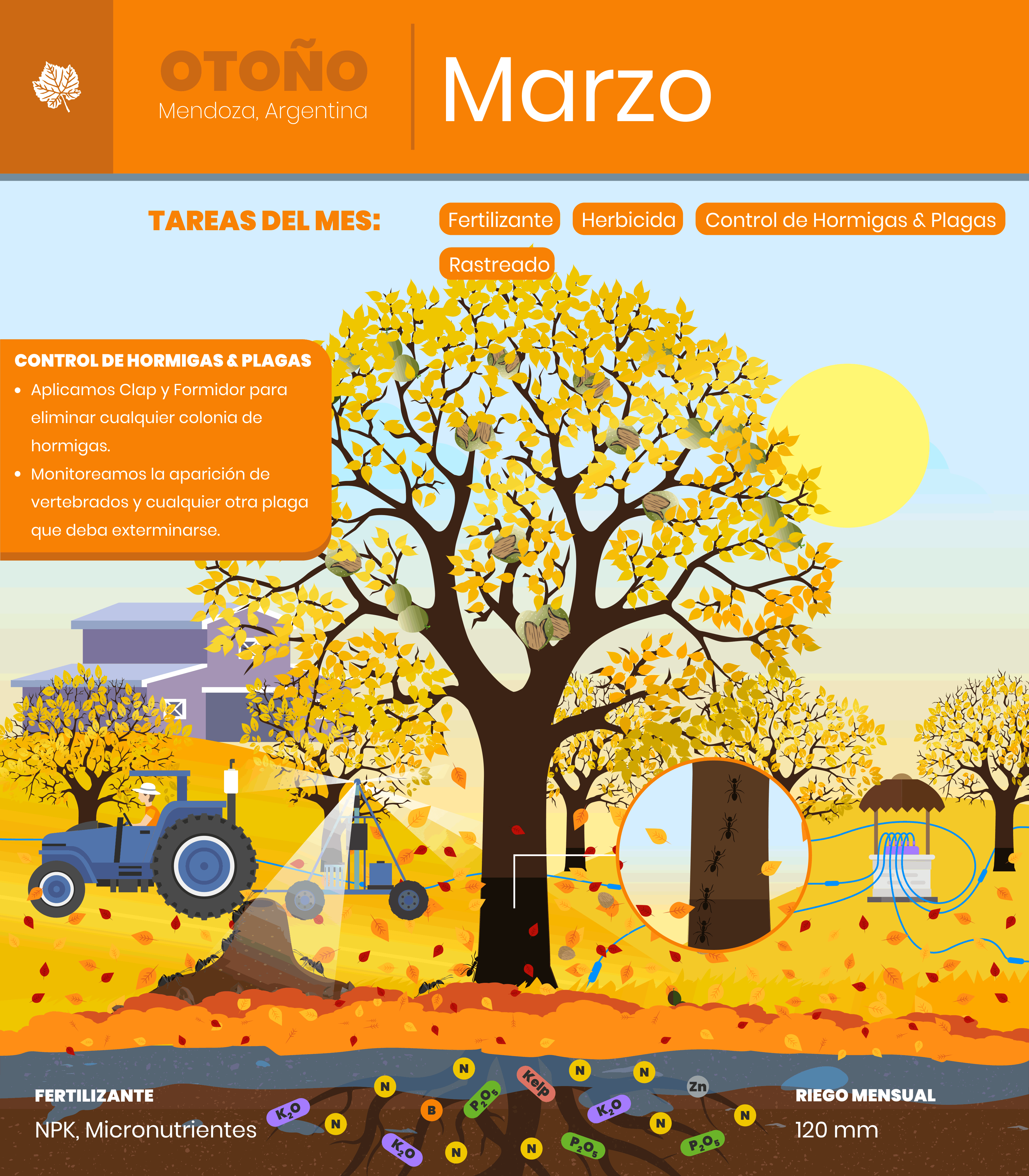 Marzo-1