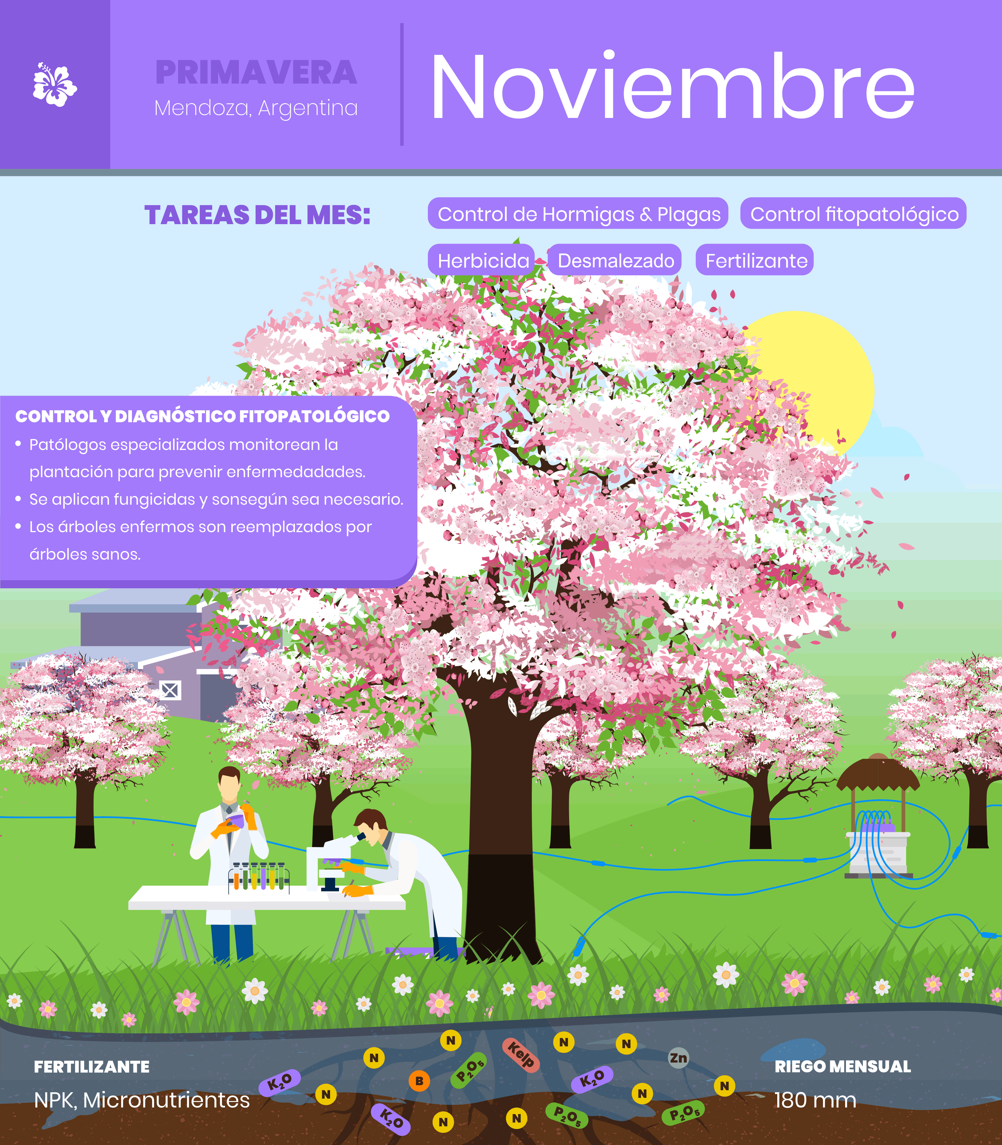 Noviembre-1