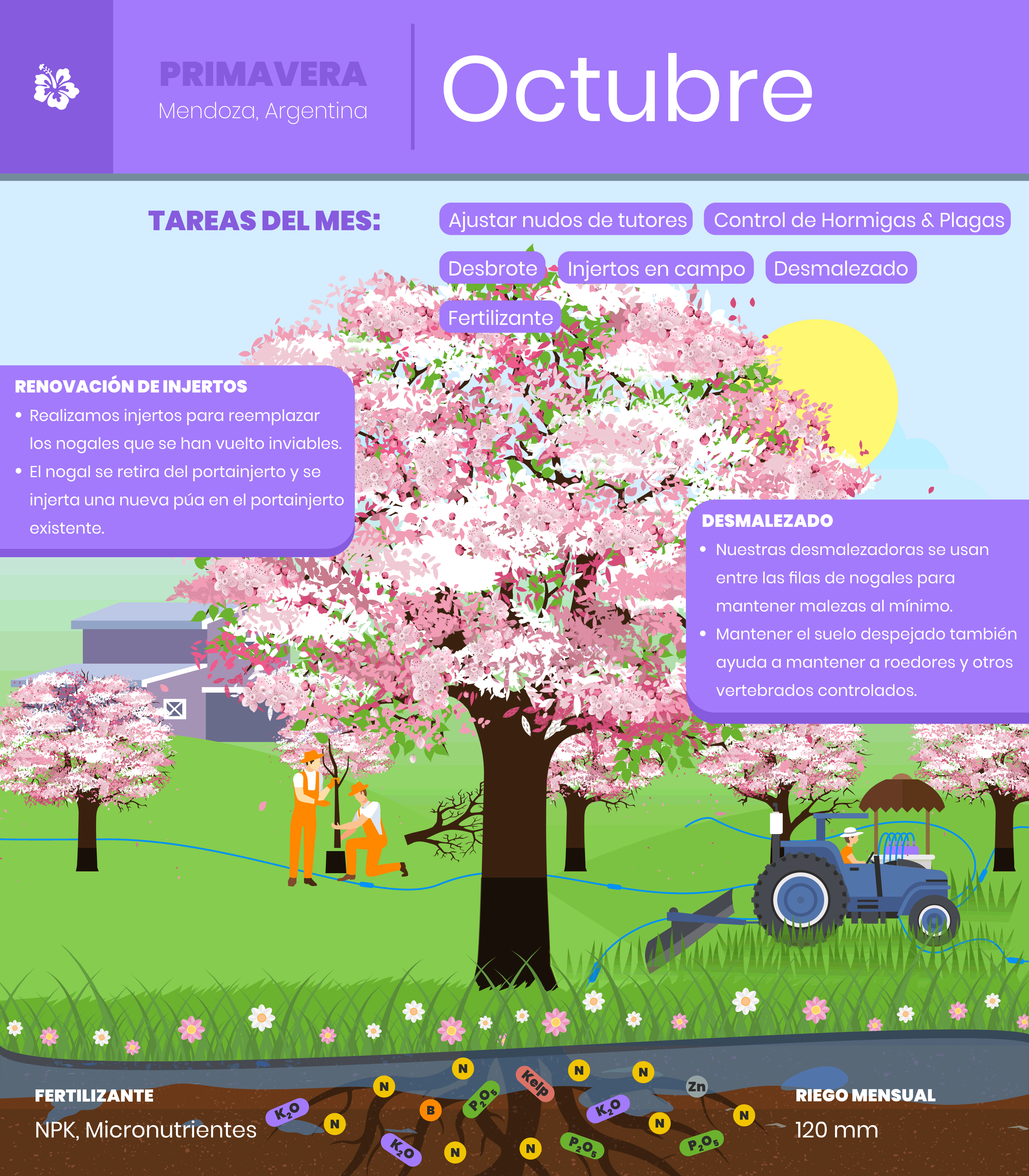 Octubre-1