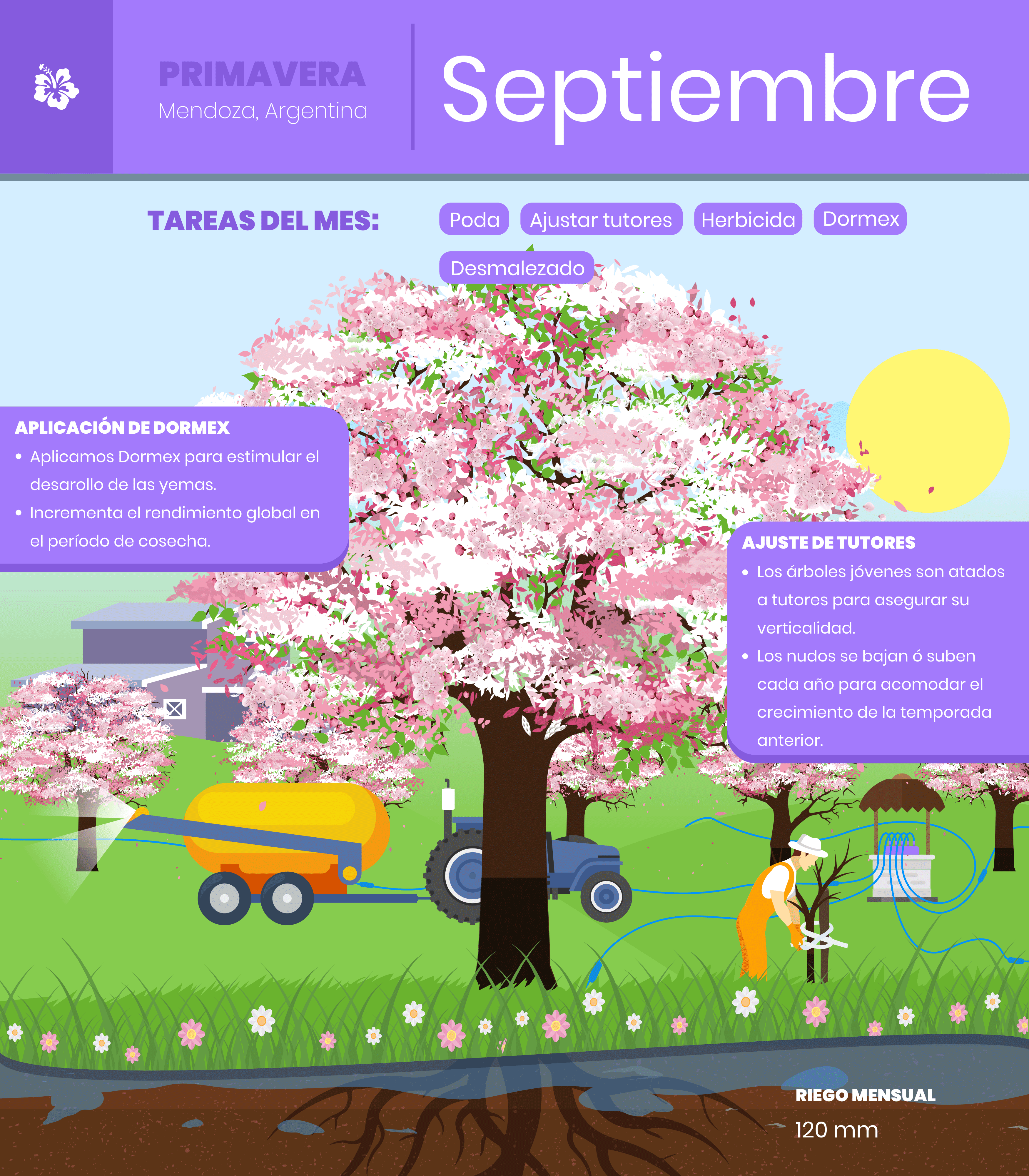 Septiembre-1
