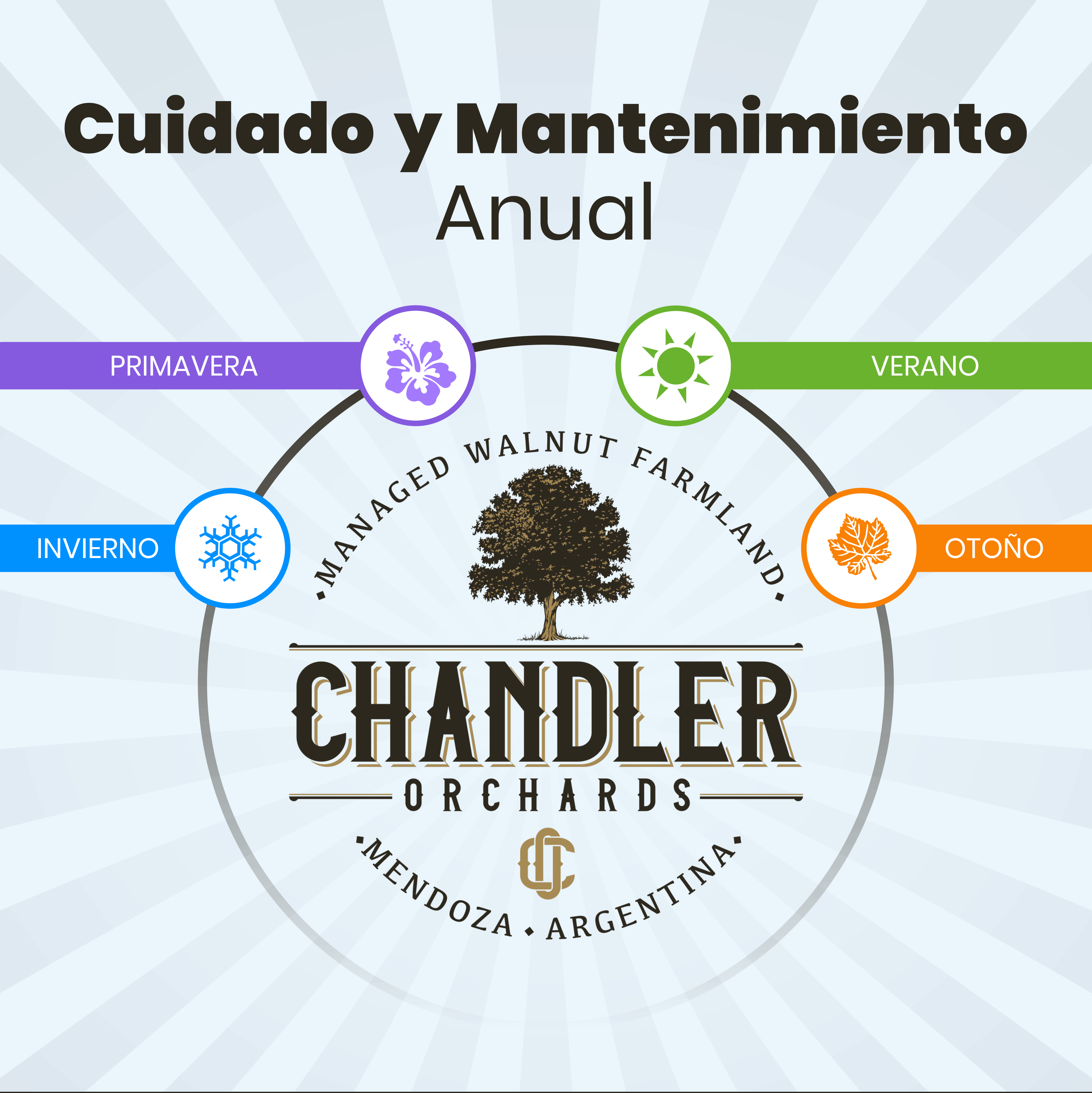 Titulo-1