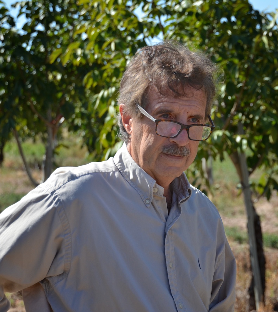 Eduardo Dubovitsky